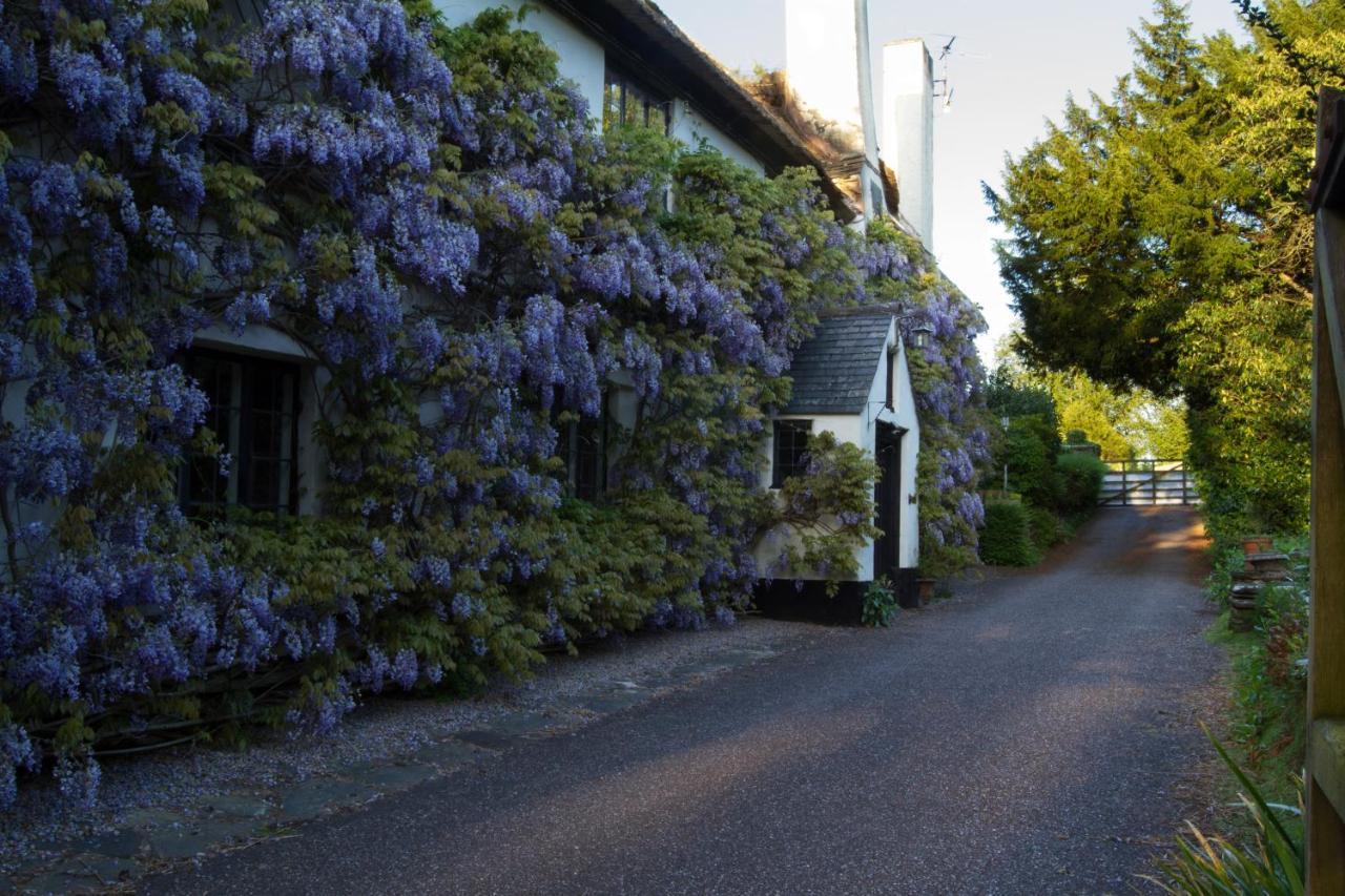 Duddings Country Cottages Minehead Buitenkant foto